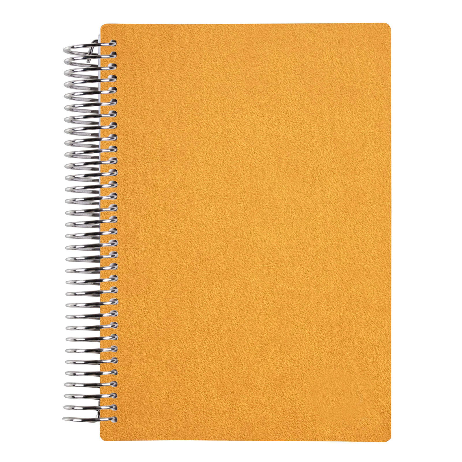A5_VLNB_marigold_01