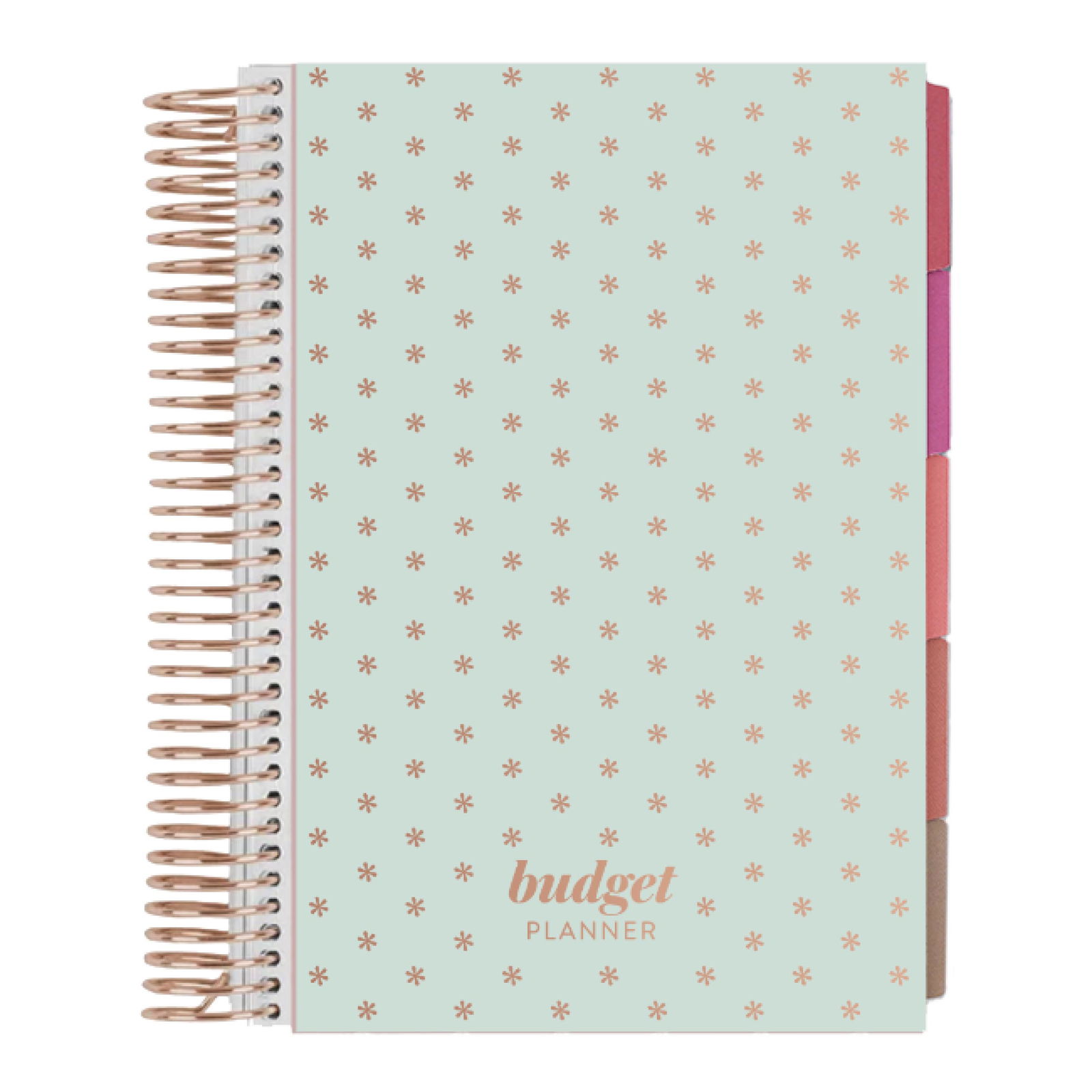 Asterisk_Budget_Planner_01