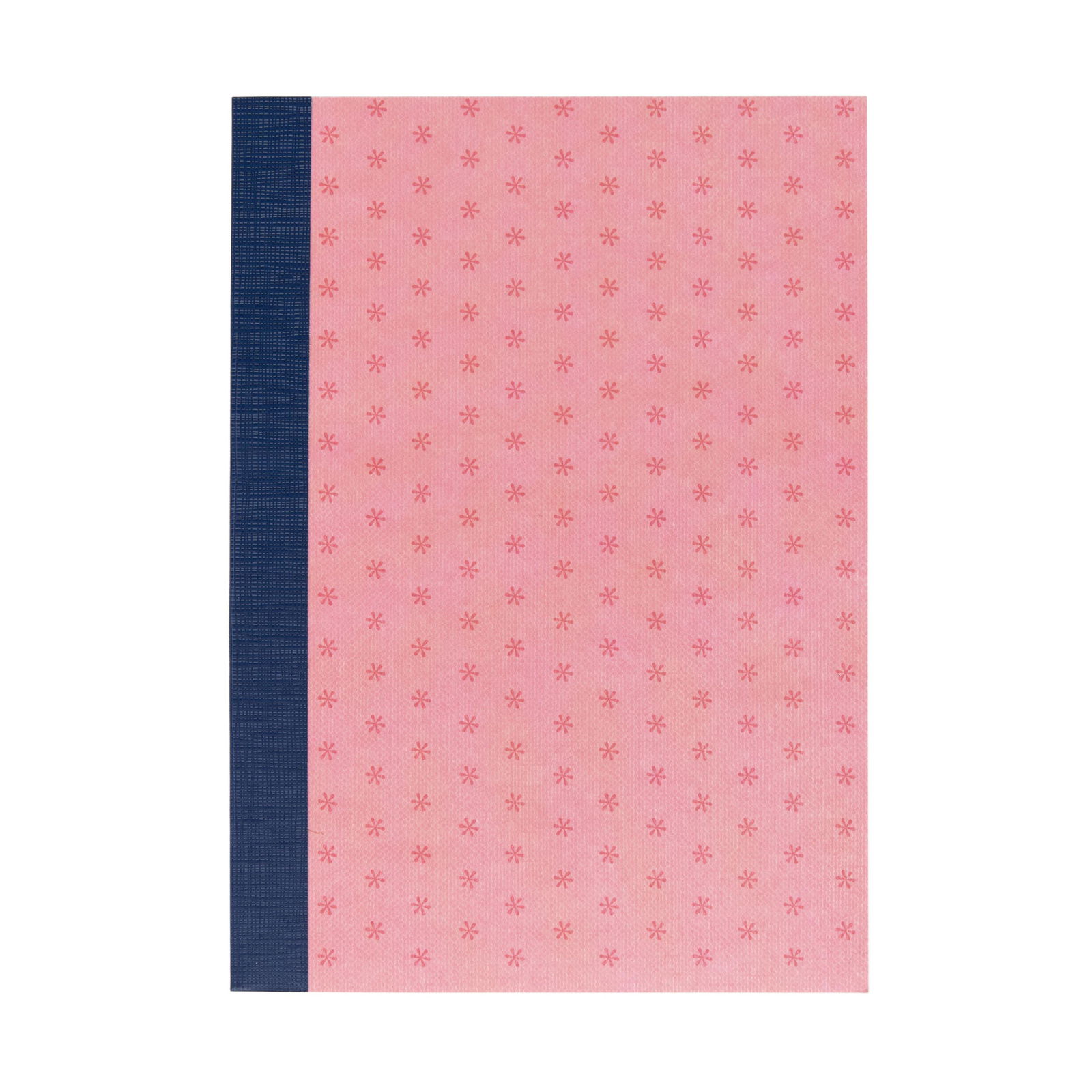 B6NB_Salmon_01