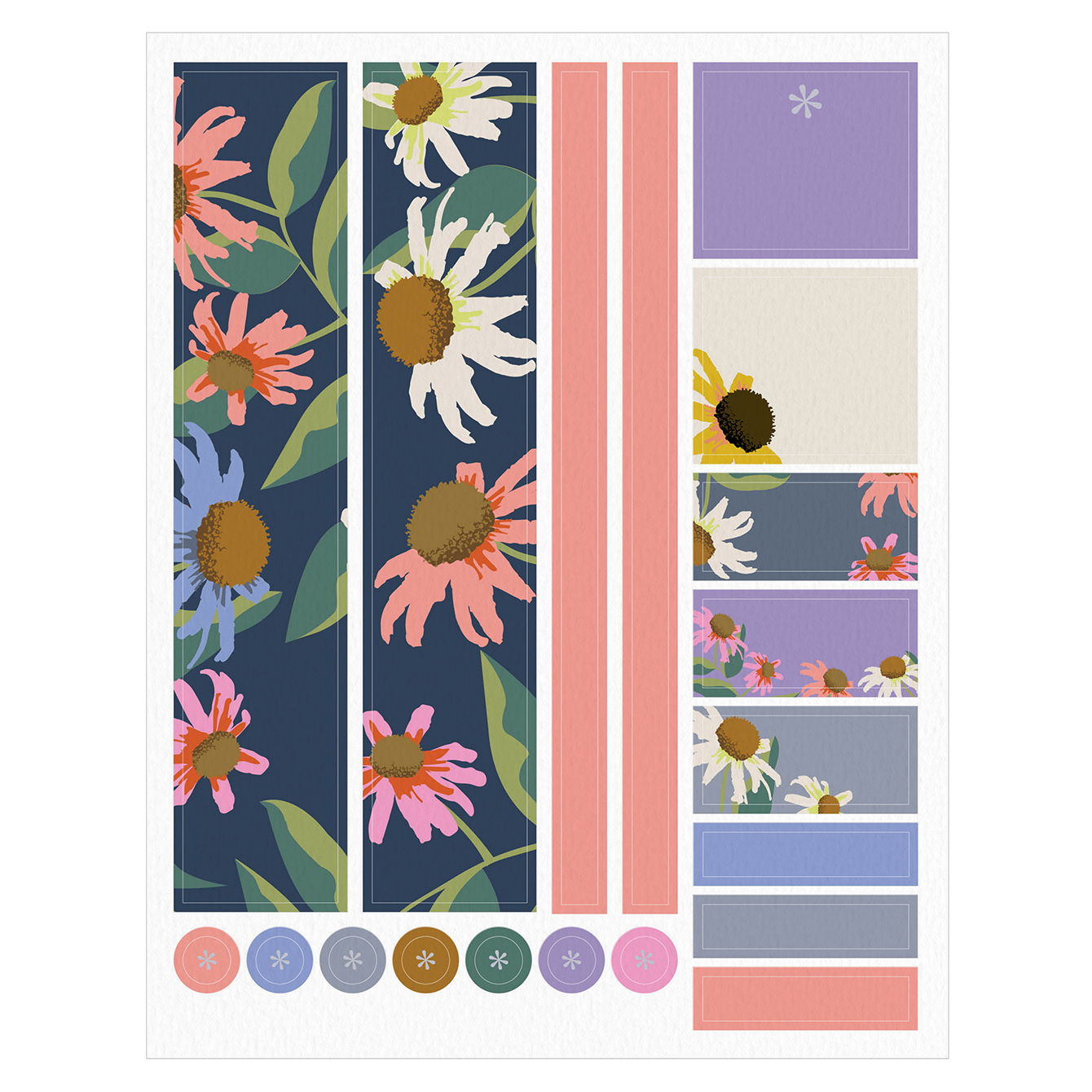 MSS_EC25_003_DAISY_BLOOMS